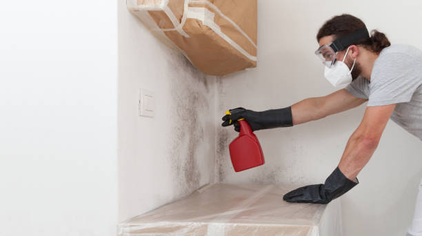 Professional Attic Mold Removal technician working in Brightwaters, NY